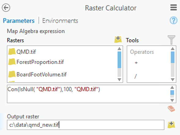 Raster Calculator tool